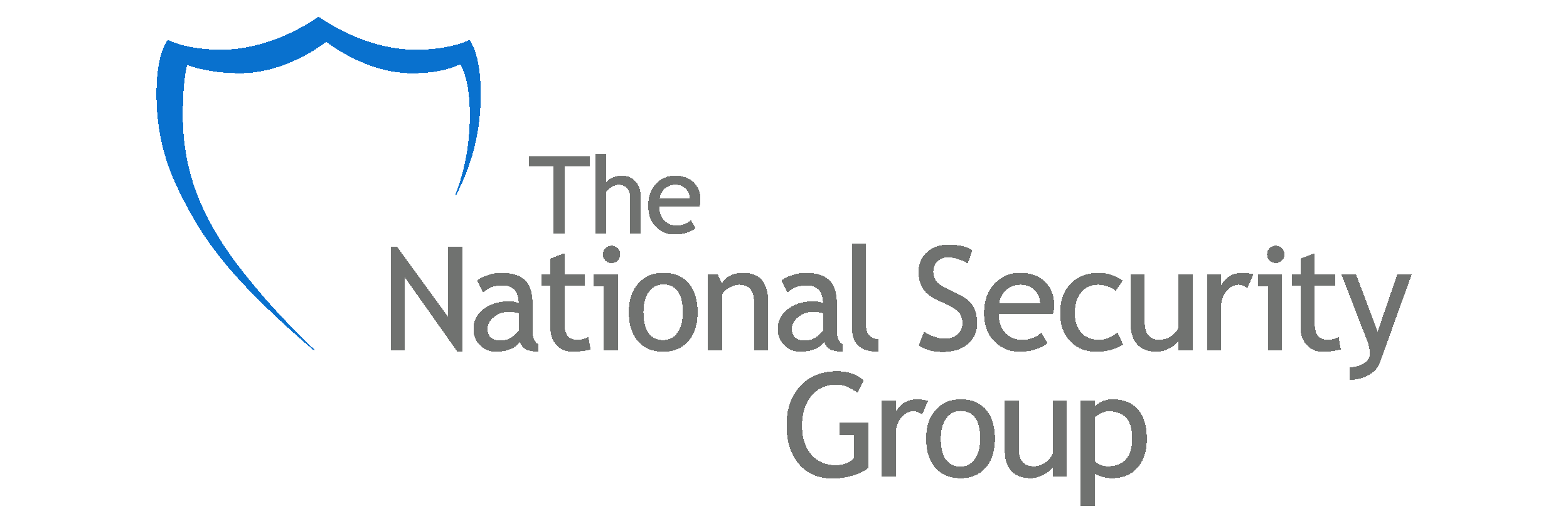 The-National-Security-Group